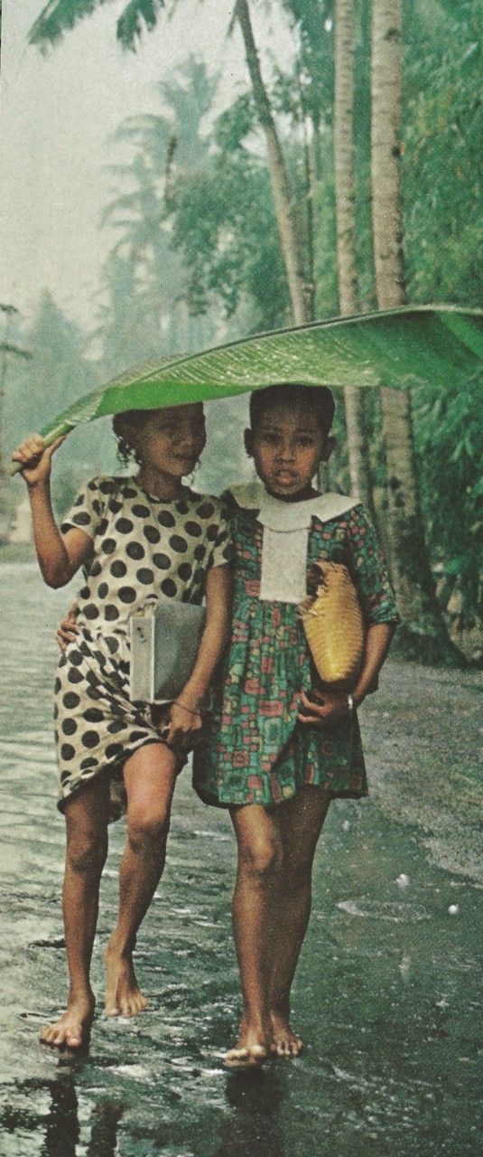 535x1280, 153 Kb / девочки, босиком, пальмы, лист, ливень