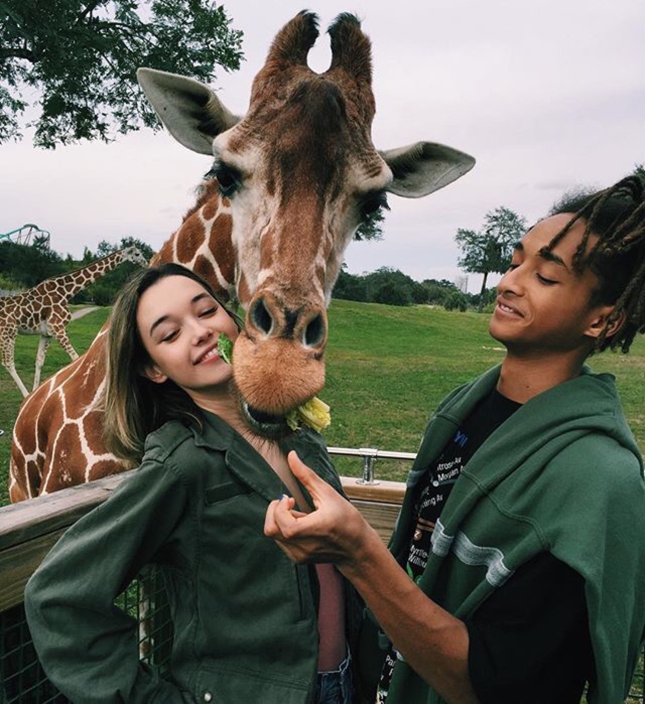 1280x1398, 475 Kb / жираф, позирует, девушка, парень, зеленое