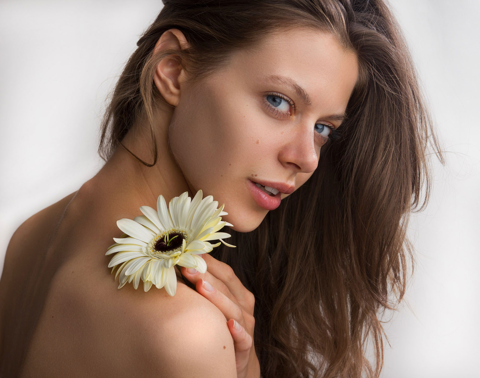 2000x1577, 429 Kb / цветок, родинки