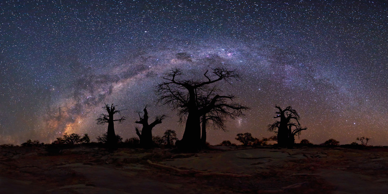 1601x800, 374 Kb / ночь, звёзды, млечный, путь, деревья, южная, африка