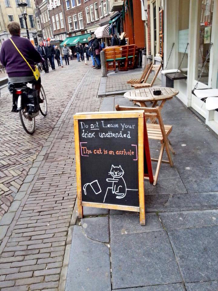 720x960, 128 Kb / кот, стакан, столик