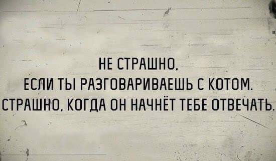 550x321, 36 Kb / Разговор, кот, ответ