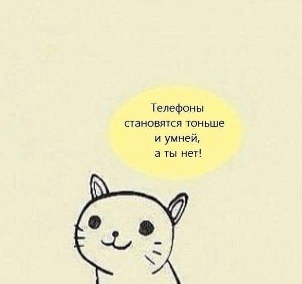 600x565, 26 Kb / Телефон, ум, кот