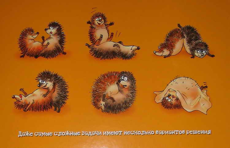 750x484, 37 Kb / ёжики, секс, позы