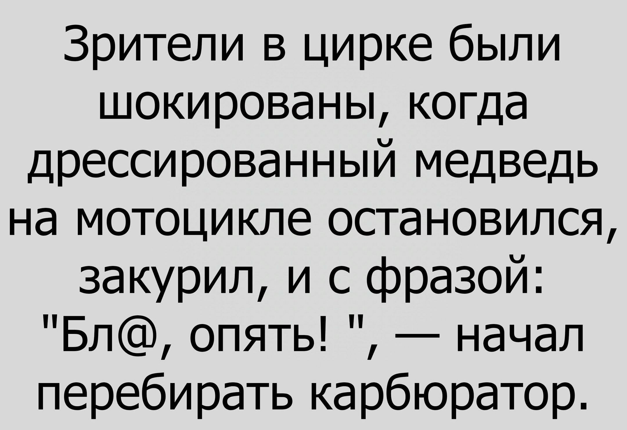 2160x1481, 270 Kb / цирк, медведь