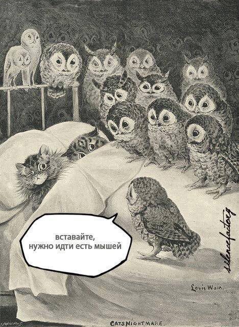 468x640, 95 Kb / совы, кошки, мыши, кровать