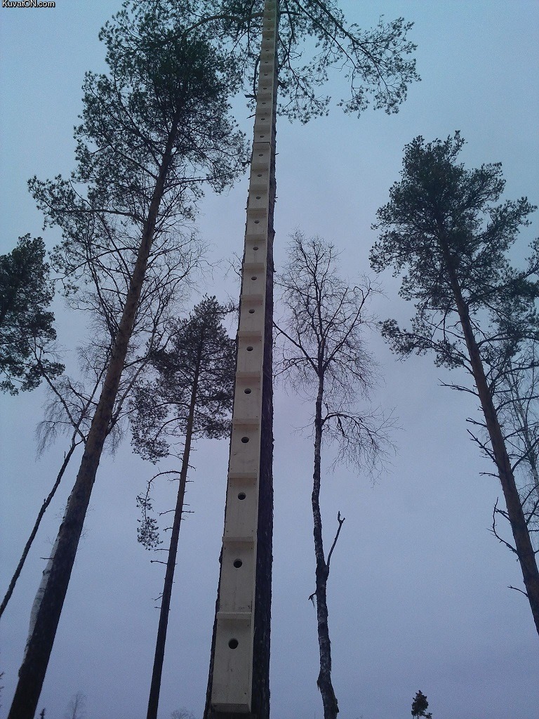 768x1024, 324 Kb / скворечники