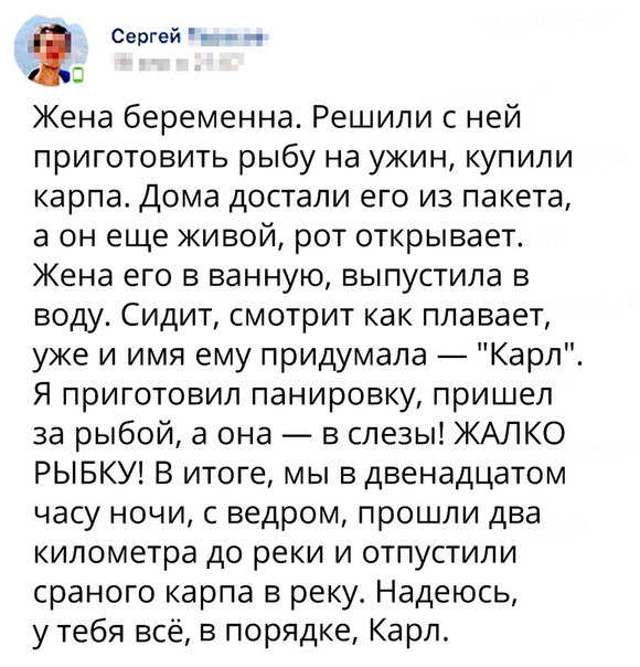 580x604, 87 Kb / карп, Карл, жена, жалко