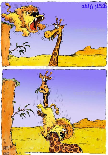 450x643, 97 Kb / лев, жираф, нападение, конфуз
