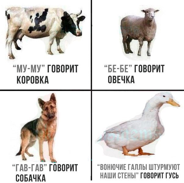 604x600, 51 Kb / корова, собака, овца, гусь, галлы, Рим