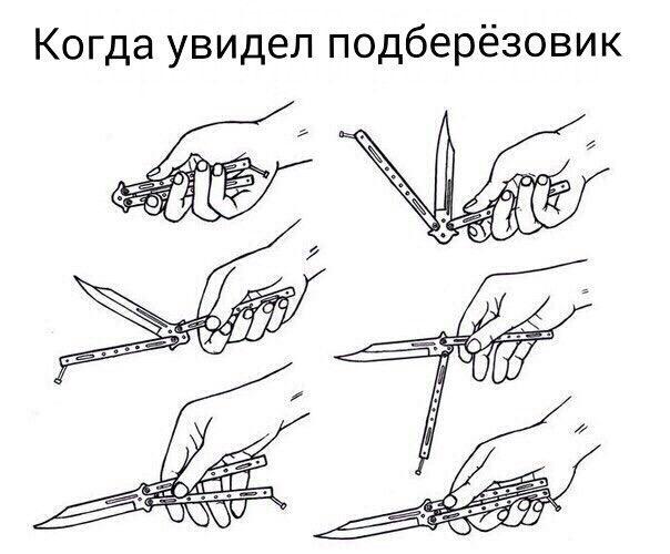 604x500, 40 Kb / бабочка, нож, подберезовик