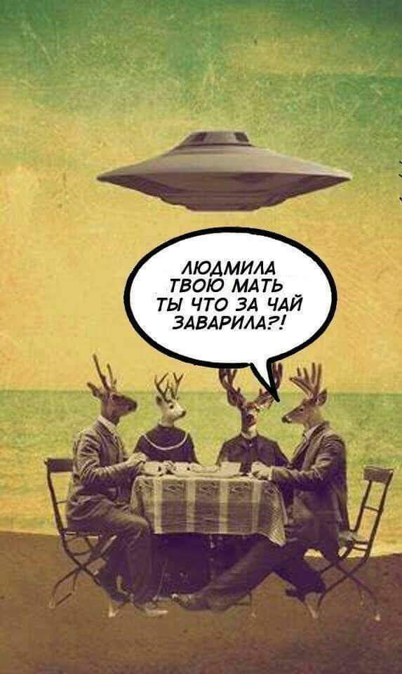 573x960, 51 Kb / Чай, Людмила, нло