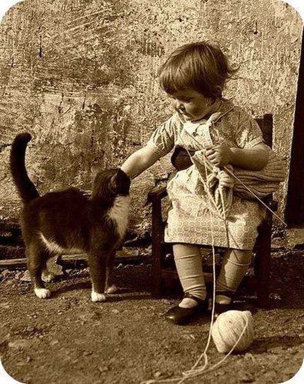 600x757, 188 Kb / девочка, вяжет, гладит, кошку, спицы, клубок, ч/б