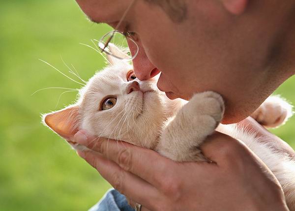 600x429, 29 Kb / котёнок