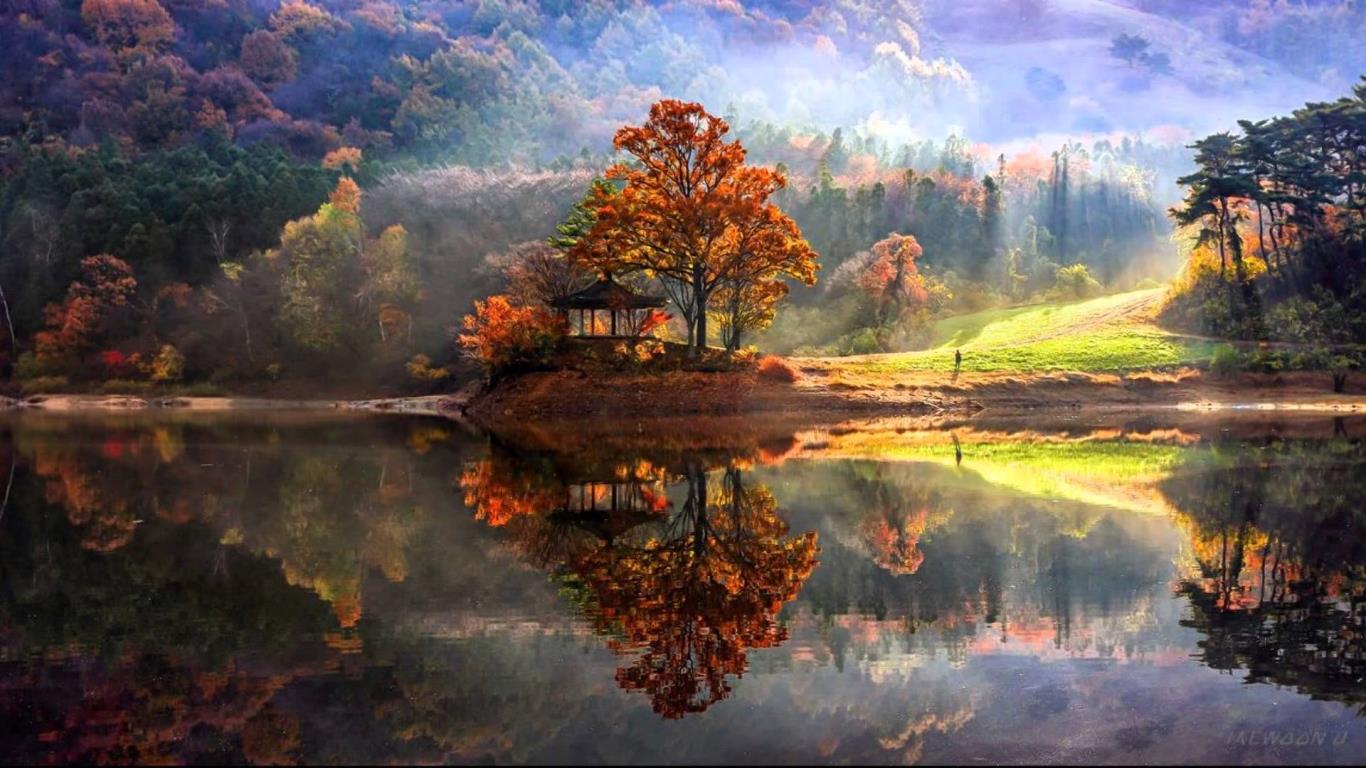 1366x768, 153 Kb / озеро, лес, беседка, деревья, туман, человек, пейзаж