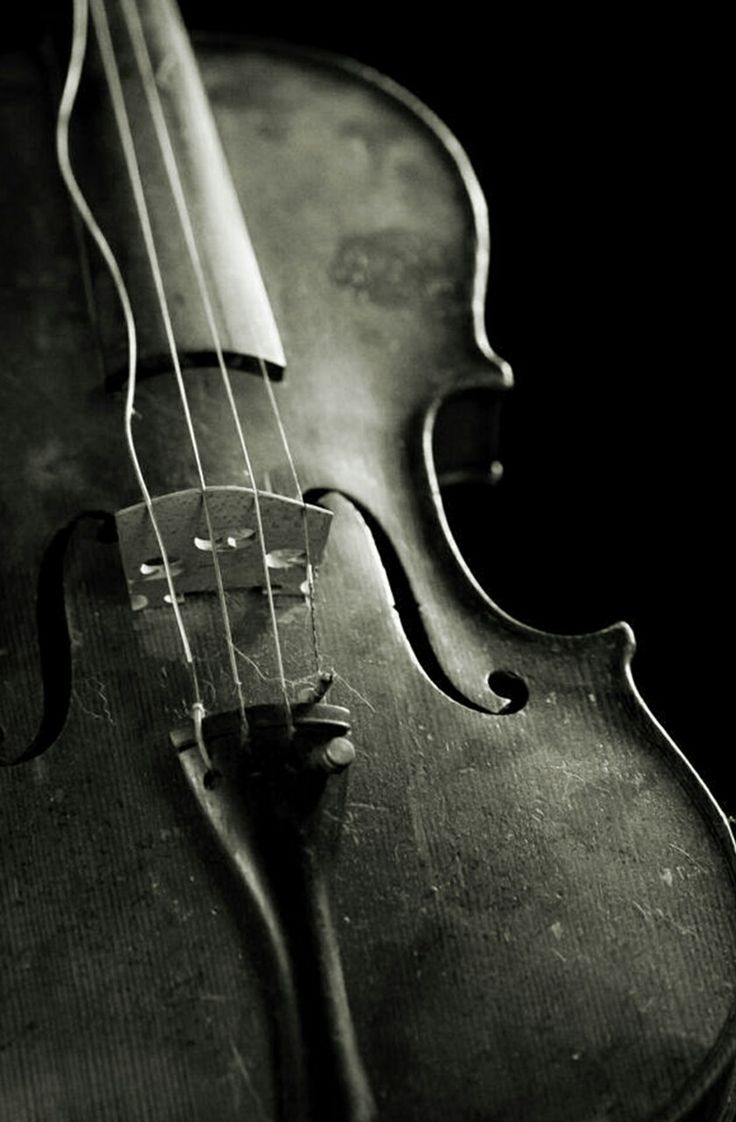 736x1122, 82 Kb / скрипка, струна, ч/б