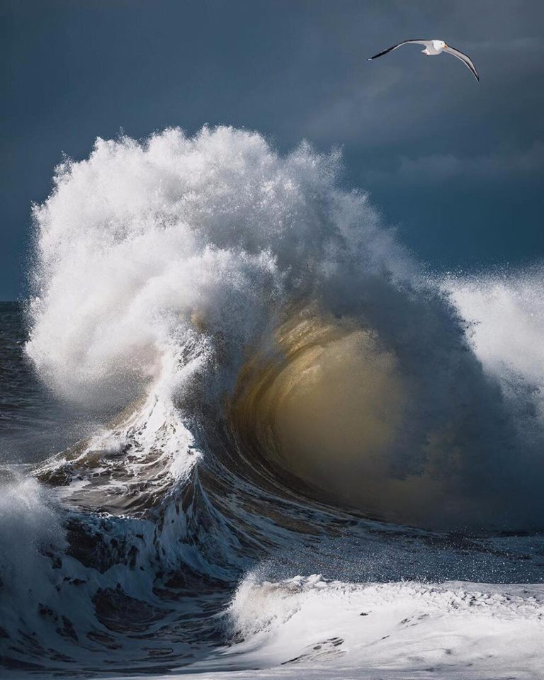 768x960, 104 Kb / волна, брызги, тучи, чайка, буря, шторм