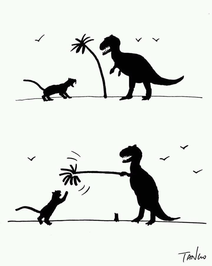 720x900, 25 Kb / раптор, тигр, пальма, кошка, рисунок, ч/б