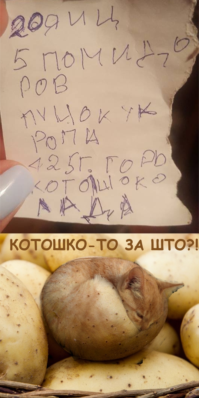 657x1311, 308 Kb / рецепт, котошко