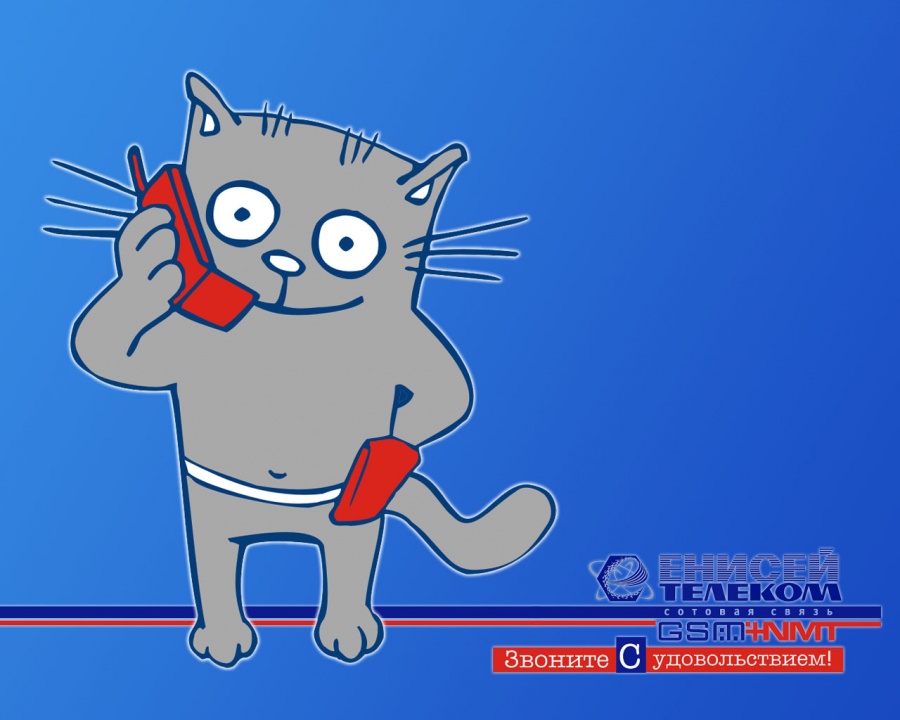 900x720, 109 Kb / GSM, кот