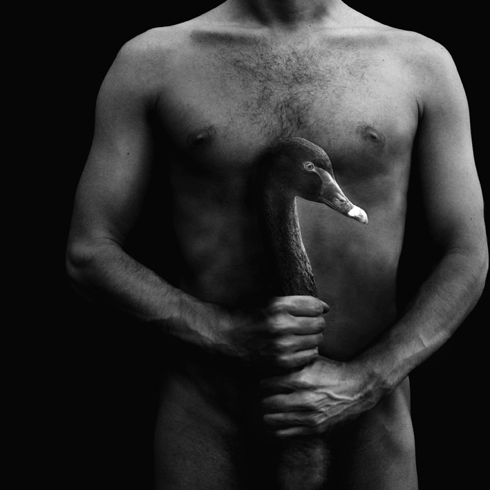 709x709, 216 Kb / мужчина, голый, лебедь, ч/б