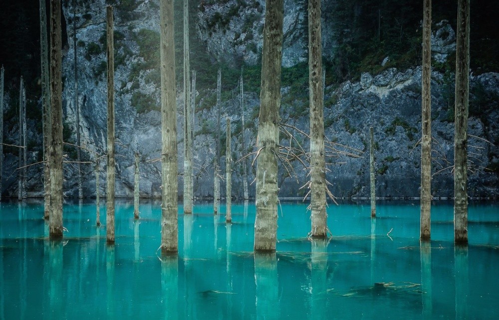 1000x643, 216 Kb / лес, озеро, стволы, вода