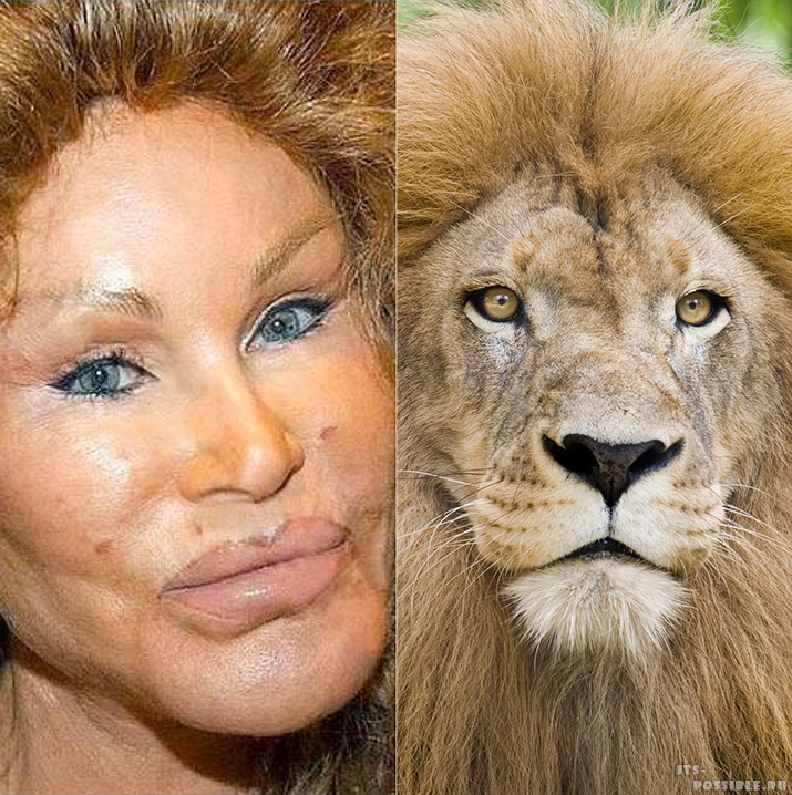 715x718, 291 Kb / лев, женщина-кошка