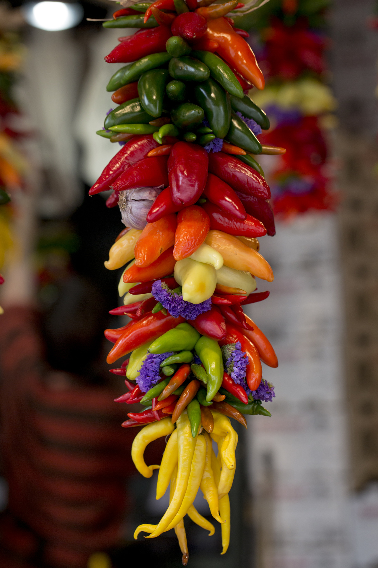 1280x1920, 605 Kb / перцы, чеснок