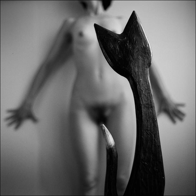 652x652, 37 Kb / ч/б, мохнатка, НЕХ