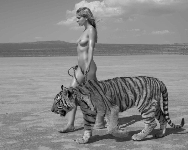 600x480, 61 Kb / женщина, тигр,ч/б