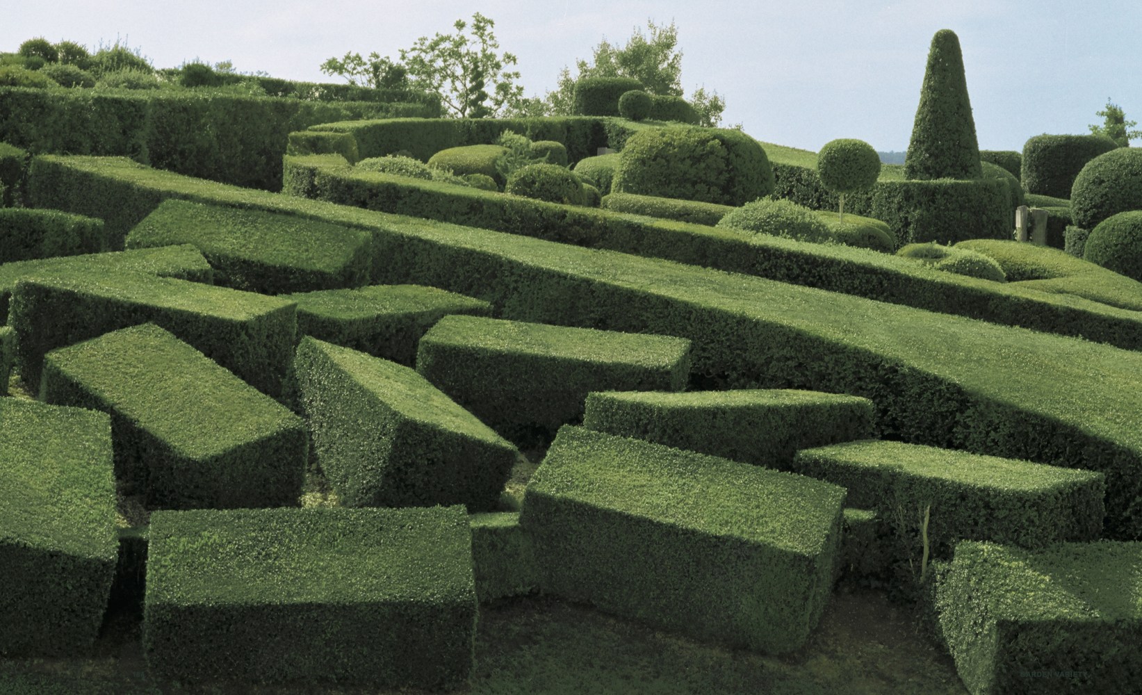 1643x1000, 448 Kb / кусты, ландшафтный дизайн, сад