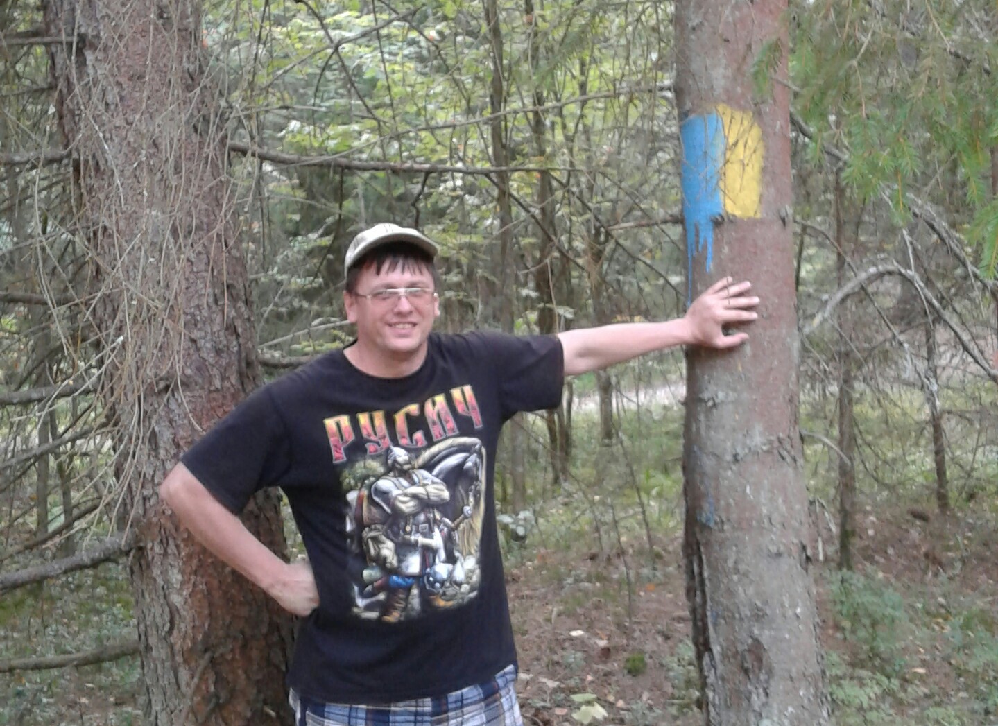 1439x1047, 380 Kb / сосна, Murrzik, политота