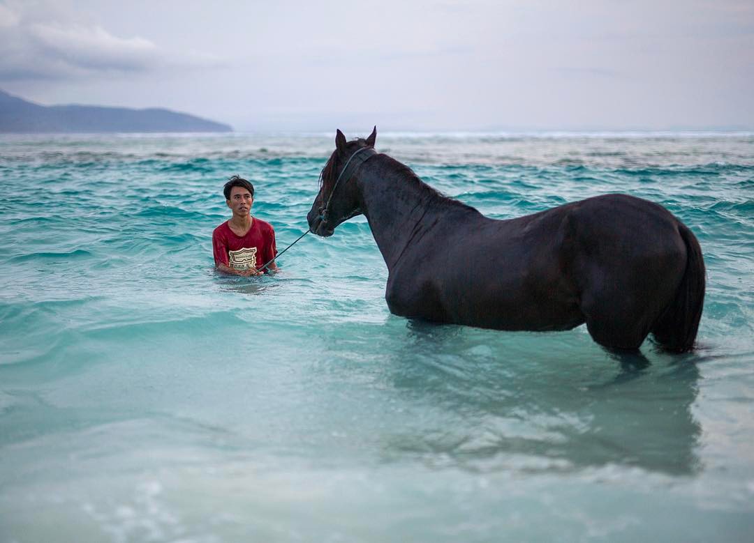 1080x779, 91 Kb / лошадь, азиат, море