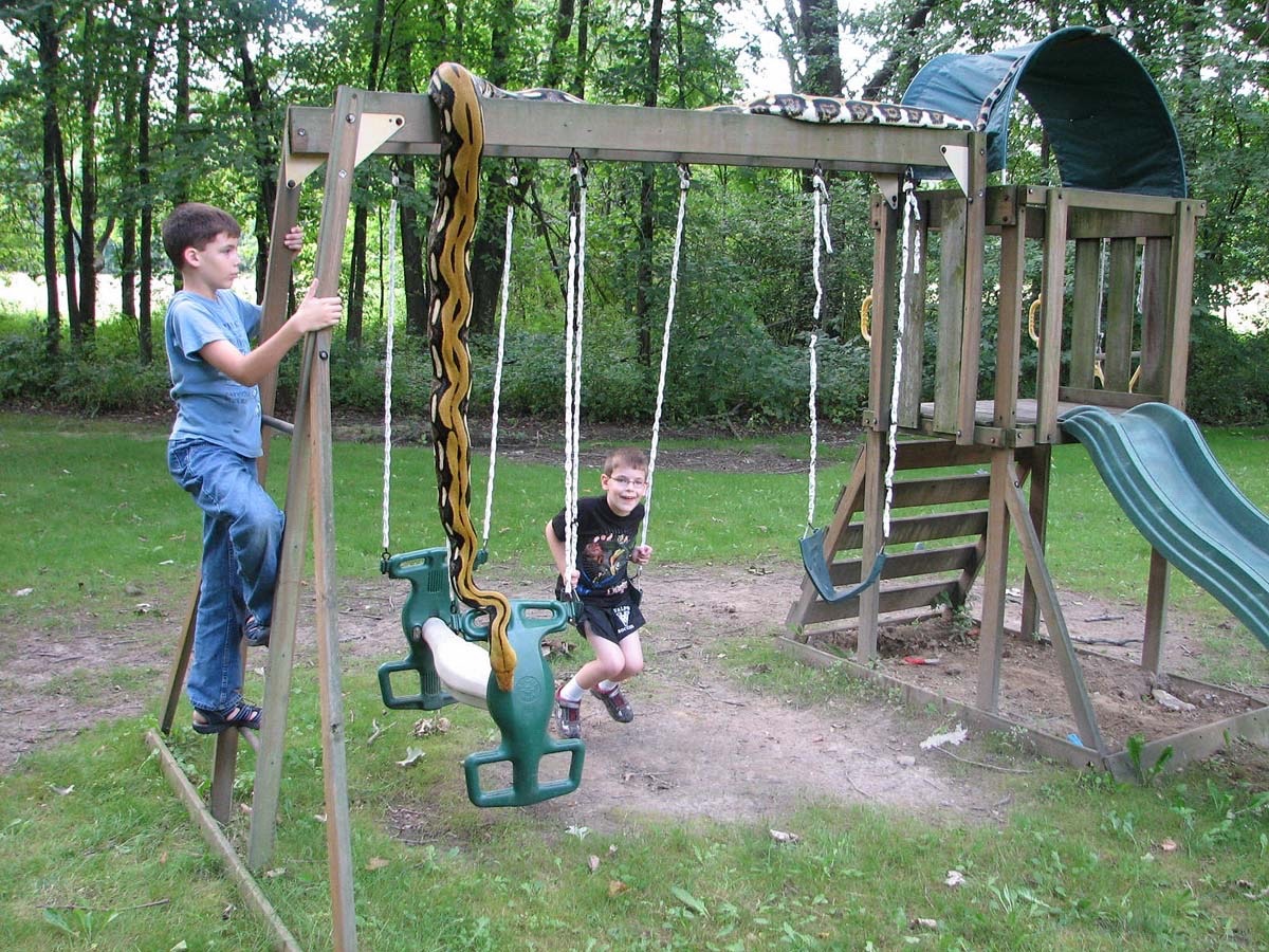 1200x900, 427 Kb / змеи, дети, качели