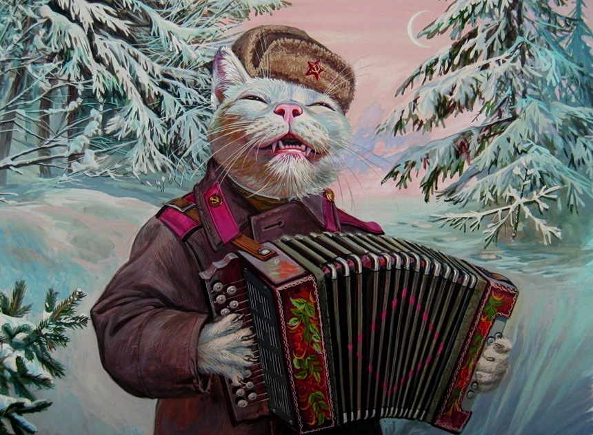 860x632, 243 Kb / котик, милота, гармошка