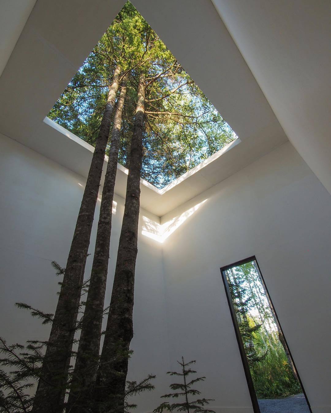 1080x1350, 159 Kb / крыша, дырка, сосны, отверстие, проём