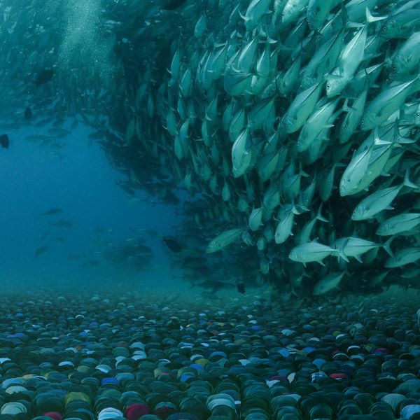 600x600, 63 Kb / камни, косяк, рыбы, намаз