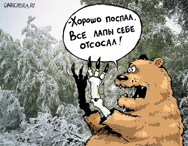 600x466, 142 Kb / медвед