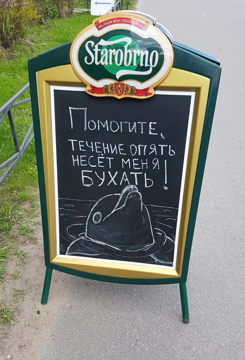 1030x1512, 600 Kb / дельфин, течение, бухать