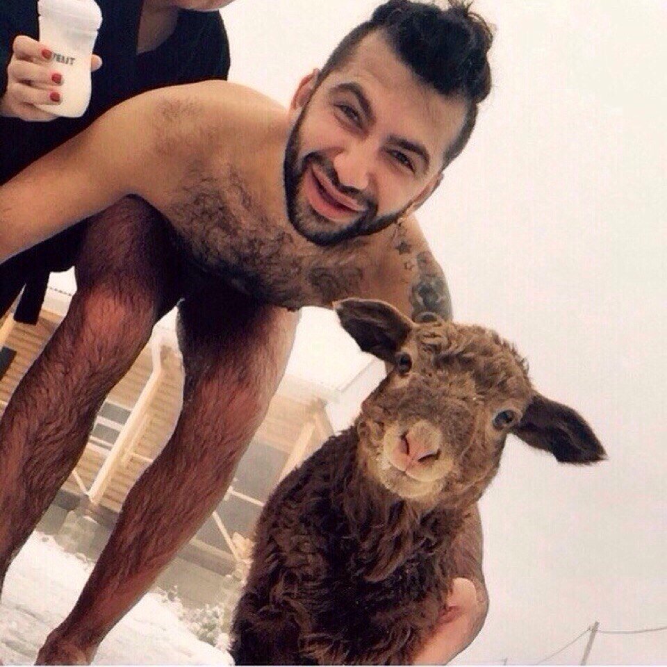 960x960, 164 Kb / мужик, овца, лубрикант