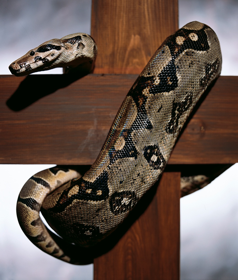 918x1080, 302 Kb / крест, змея, змей, удав