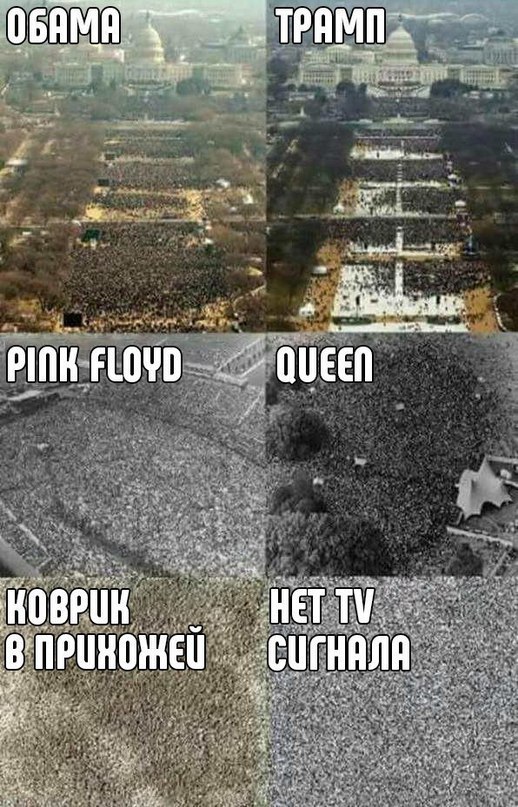518x807, 143 Kb / коврик, трамп, обама, пинк флойд