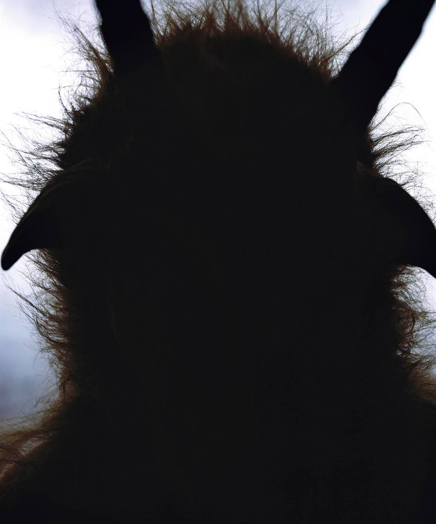 900x1080, 49 Kb / тень, силуэт, козёл, рога, Бафомет