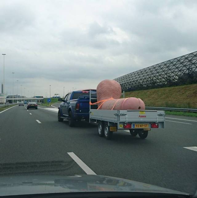 640x642, 31 Kb / хуй, прицеп