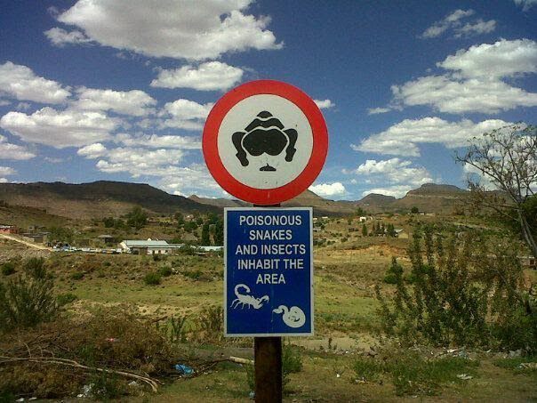 604x453, 71 Kb / знак, змея, скорпион