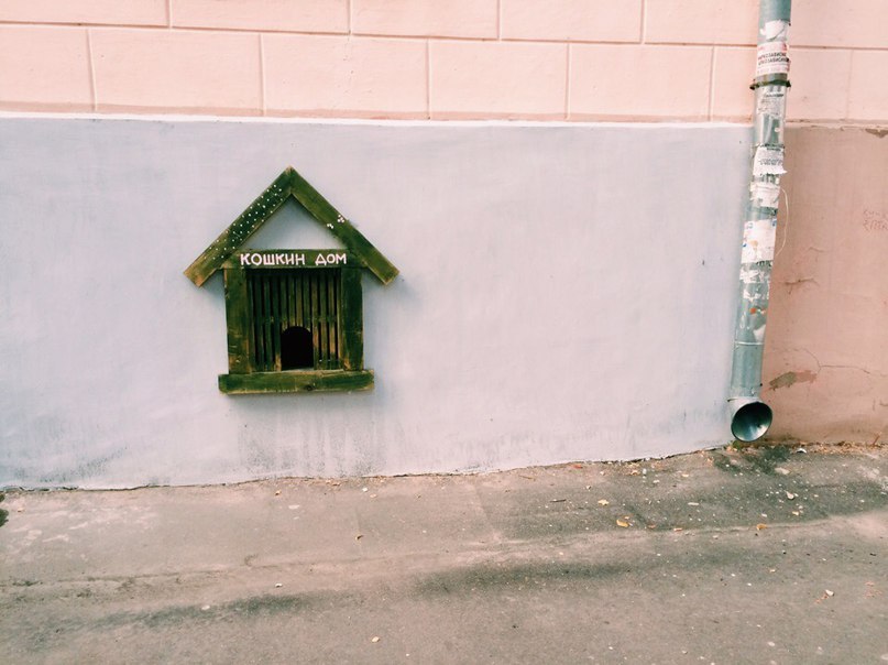 807x604, 77 Kb / труба, кошкин дом