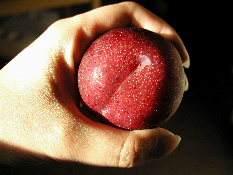 800x600, 183 Kb / рука, персик