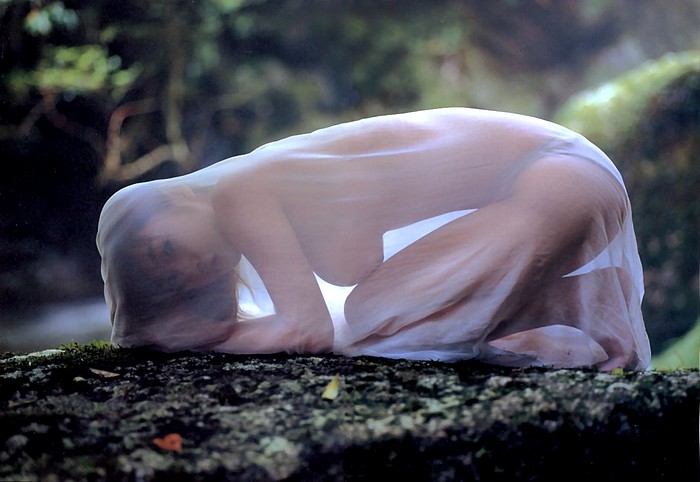 700x482, 71 Kb / азиатка, ткань, прозрачное, камень, Wakana Sakai