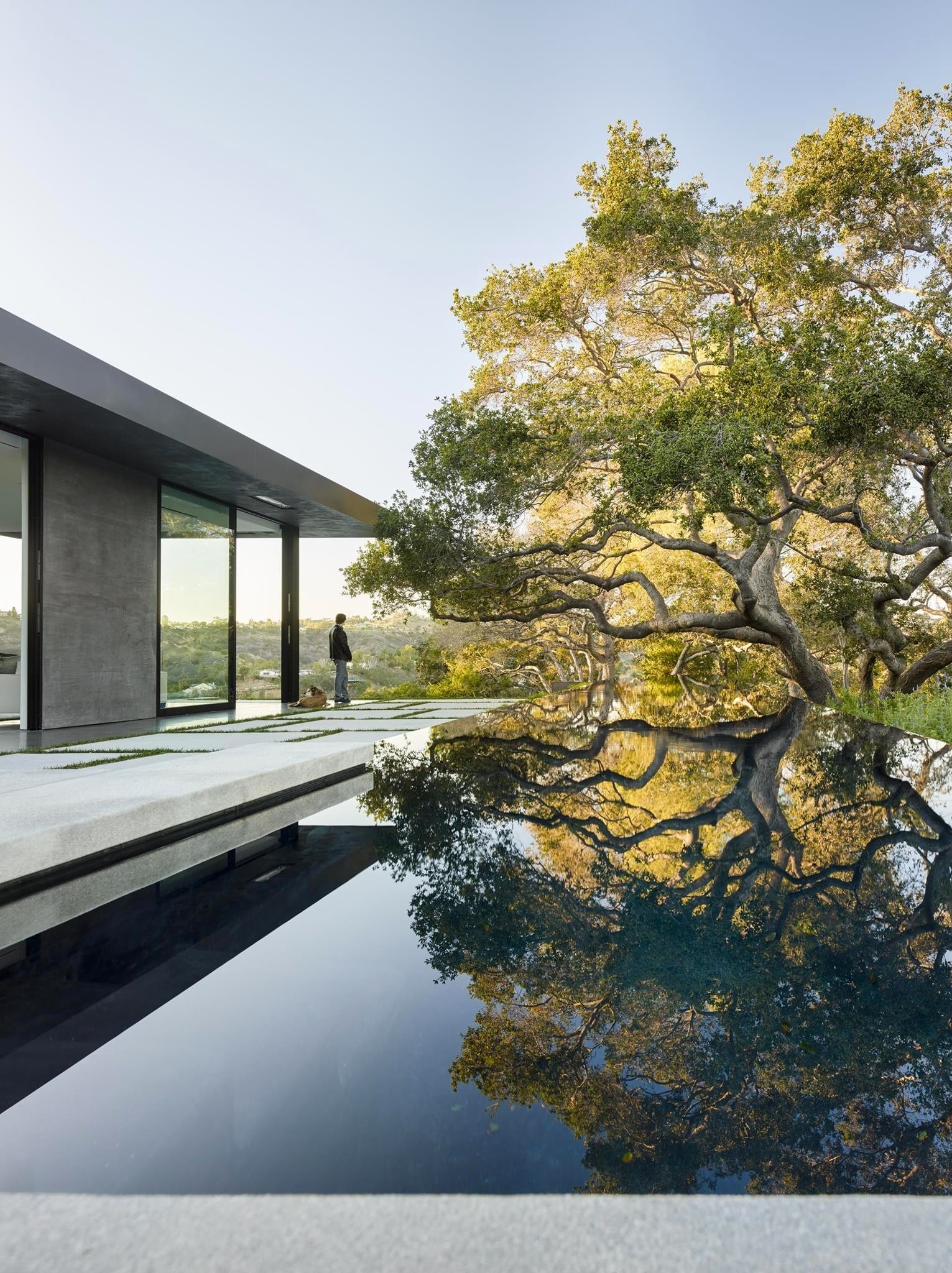 1531x2048, 637 Kb / дерево, архитерктура, бассейн