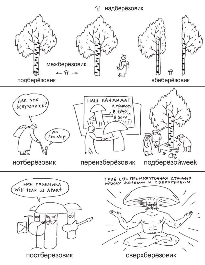 838x1080, 124 Kb / грибы, подберезовики